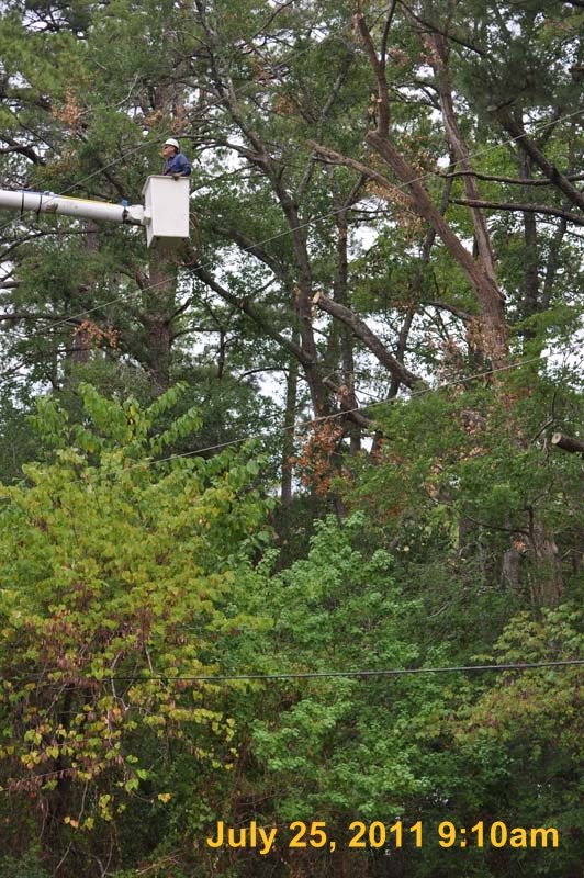 Entergy 040
